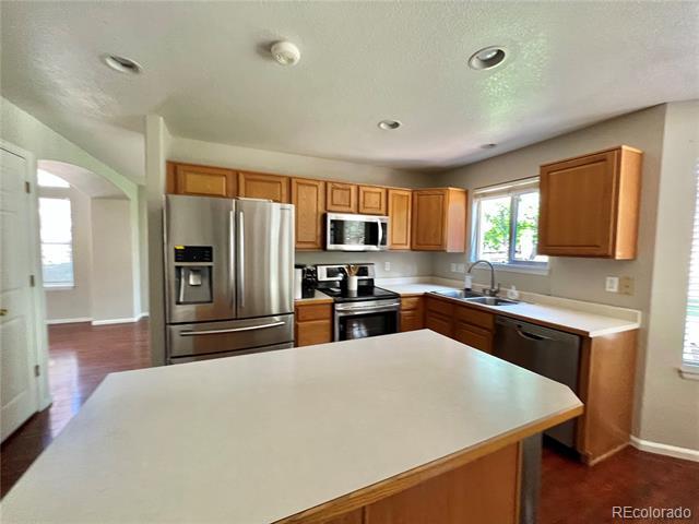 6658 Lynx Cove in Lone Tree, CO - Building Photo - Building Photo