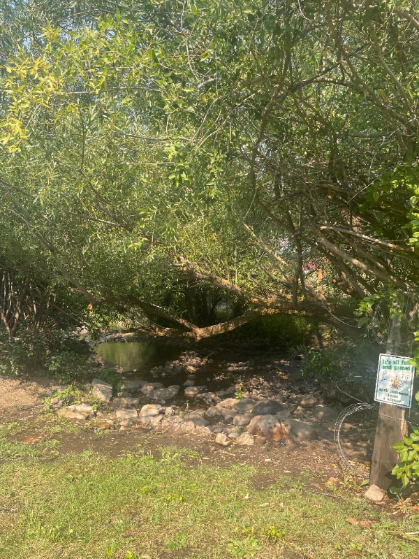 33 E Inman Rd in Inkom, ID - Foto de edificio - Building Photo