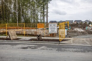 Saxon Park in Langley, BC - Building Photo