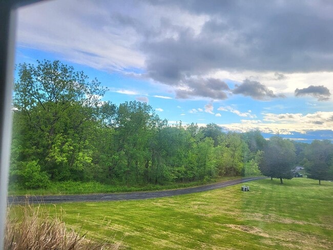 7 Bel Air Dr in Wallkill, NY - Building Photo - Building Photo