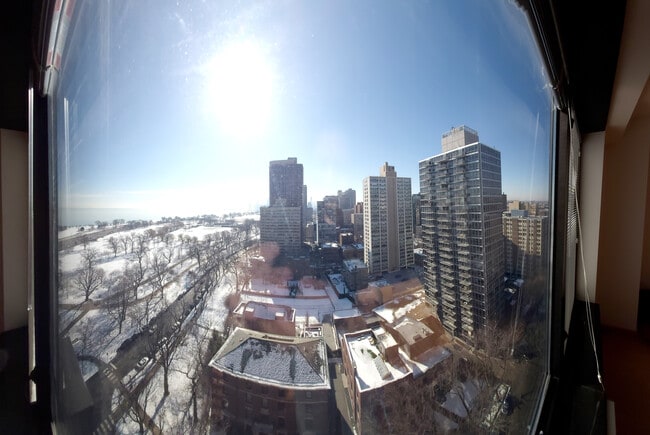 3100 N Lake Shore Dr, Unit 1906 in Chicago, IL - Foto de edificio - Building Photo