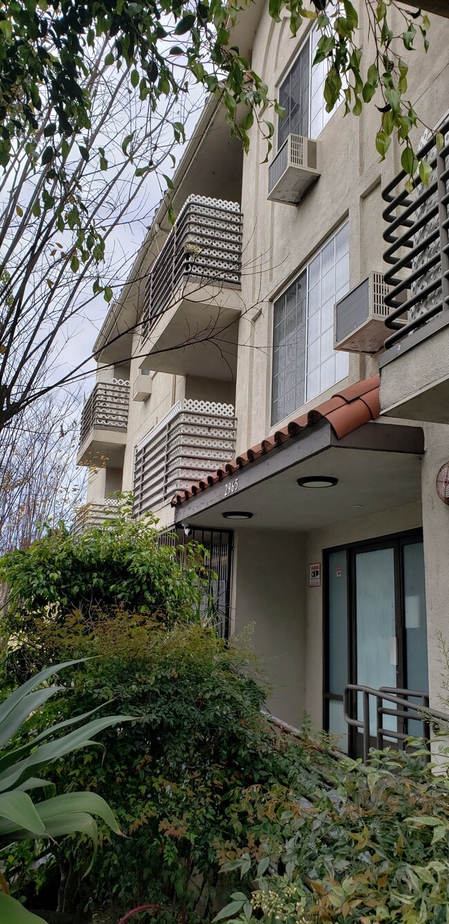 2965 San Marino St in Los Angeles, CA - Building Photo - Building Photo