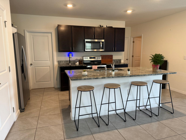 33585 Apricot Tree Ct in Wesley Chapel, FL - Building Photo - Building Photo