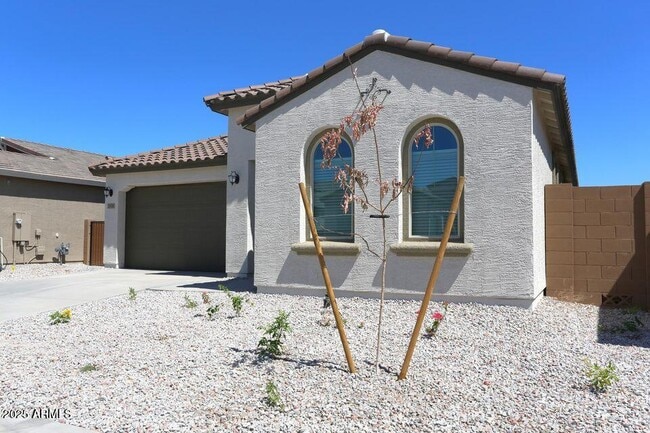 2558 W Pecan Rd in Phoenix, AZ - Foto de edificio - Building Photo