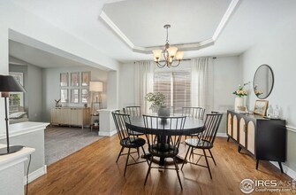 8356 Louden Cir in Windsor, CO - Building Photo - Building Photo