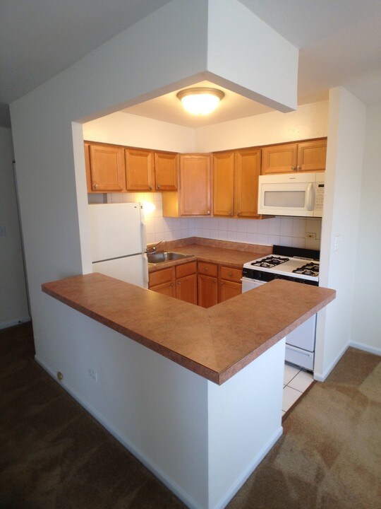 6758 N Sheridan Rd-Unit -330 in Chicago, IL - Building Photo