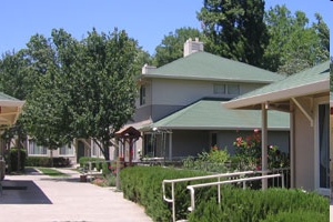 Harvest Grove Apartments in Healdsburg, CA - Building Photo - Building Photo