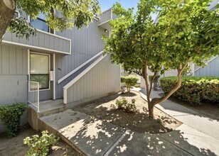 906 La Barbera Dr in San Jose, CA - Building Photo - Building Photo