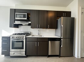 733 N Wells St, Unit 802 in Chicago, IL - Building Photo