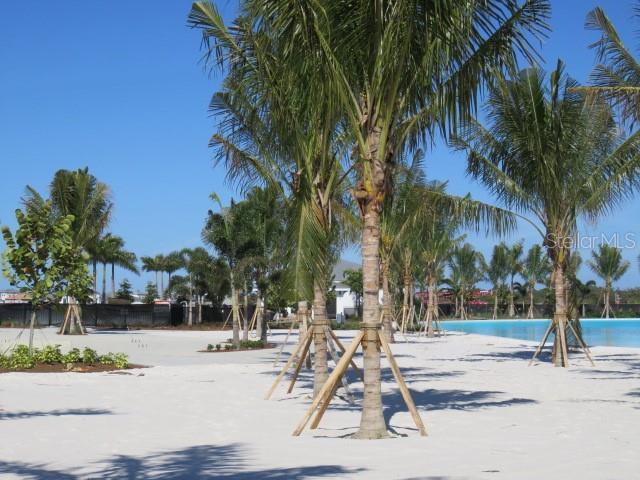 6311 Pigeon Plum Way in Bradenton, FL - Building Photo - Building Photo