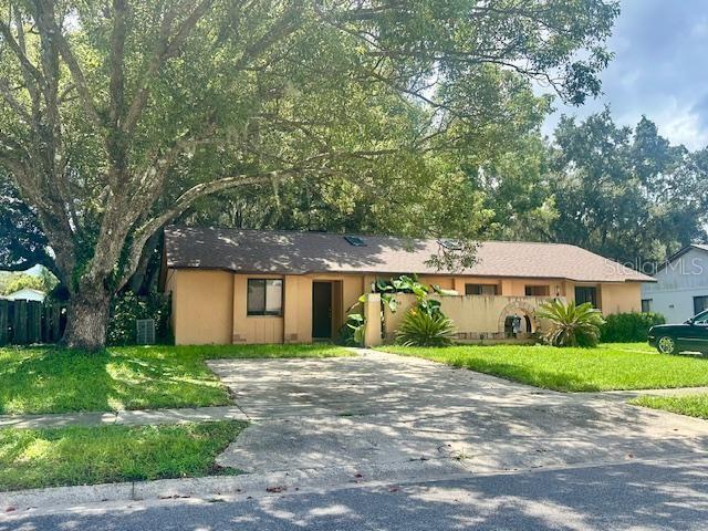 property at 9868 Lancewood St