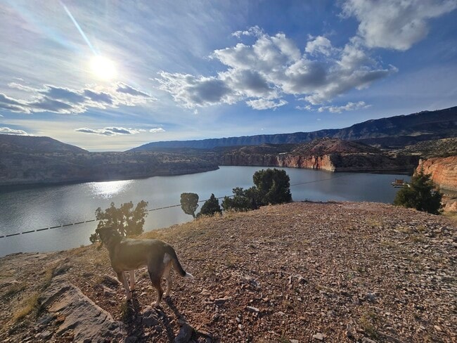 1411 Richard Martin Dr, Unit 101