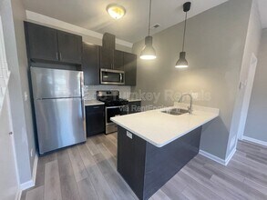 2624 W 24th St in Chicago, IL - Building Photo - Building Photo