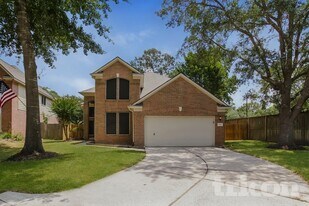 1735 Wilderness Park Ct in Houston, TX - Building Photo
