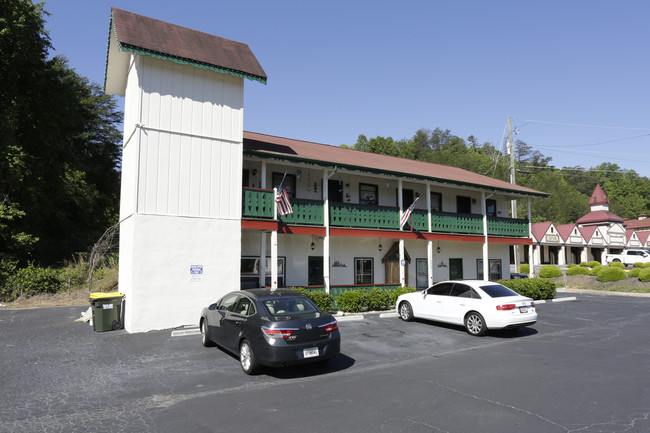 8063 S Main St in Helen, GA - Foto de edificio - Building Photo