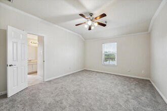 1805 Clover Patch in Alvin, TX - Building Photo - Building Photo