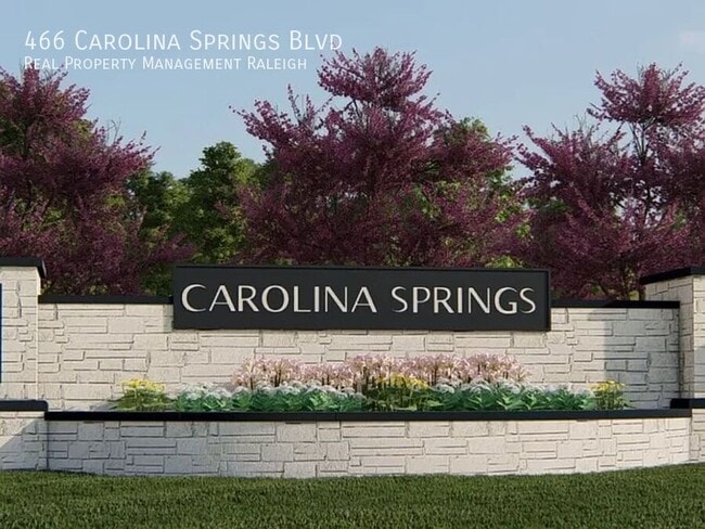 466 Carolina Spgs Blvd in Apex, NC - Building Photo - Building Photo