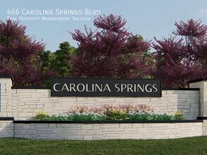 466 Carolina Spgs Blvd in Apex, NC - Building Photo - Building Photo