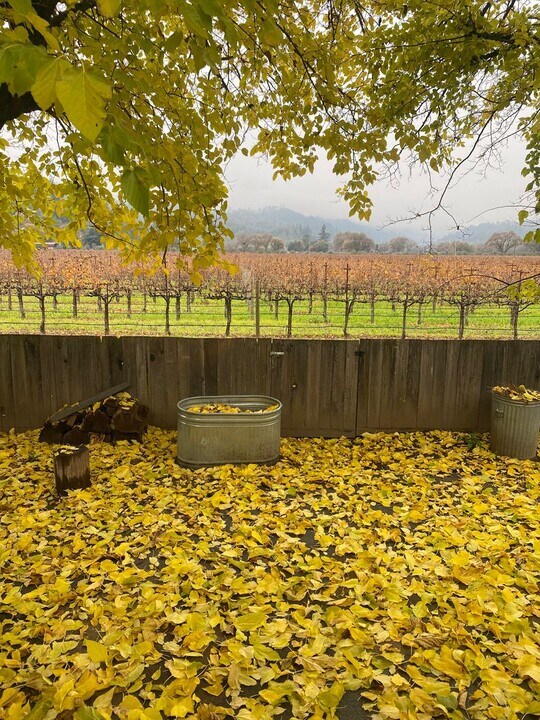 31451 N Redwood Hwy in Cloverdale, CA - Building Photo