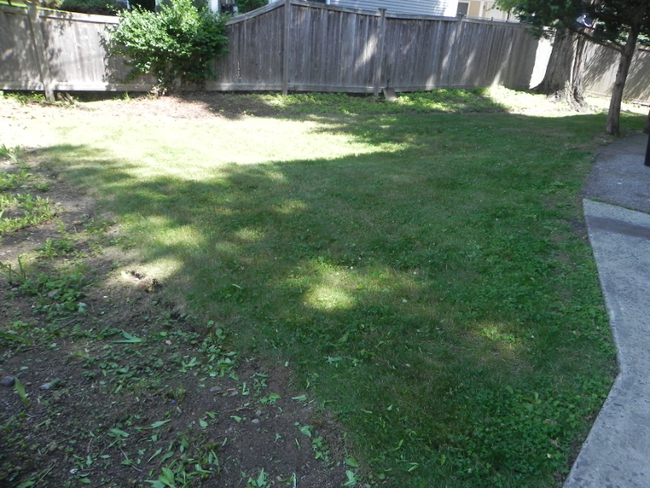 2 1/2 Jefferson St in Norwalk, CT - Building Photo - Building Photo