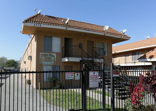 Pine Tree Lane Apartments in San Bernardino, CA - Foto de edificio - Building Photo