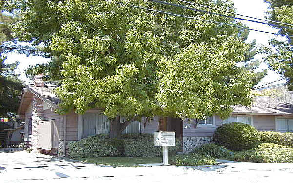 Bundy Apartments in San Jose, CA - Building Photo - Building Photo