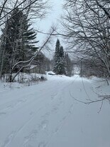 64 Wells Farm Rd, Unit 64 Wells Farm Dr #1 in Jeffersonville, VT - Building Photo