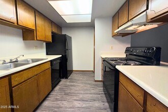 4401 E Contessa St in Mesa, AZ - Building Photo - Building Photo