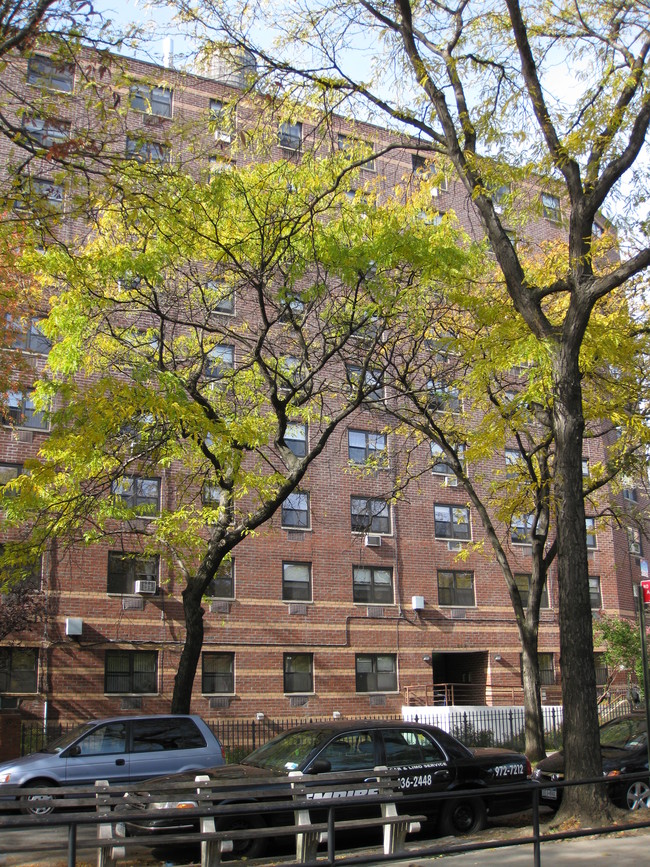 Webster Terrace in Brooklyn, NY - Building Photo - Building Photo