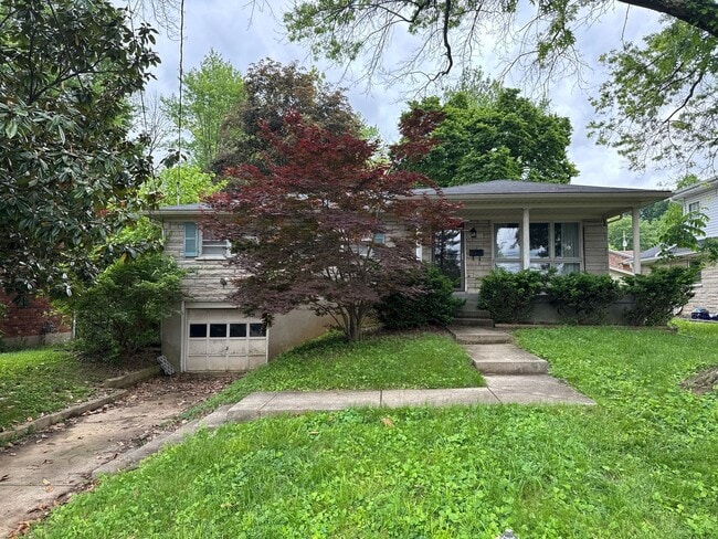 property at 7206 Supremus Dr