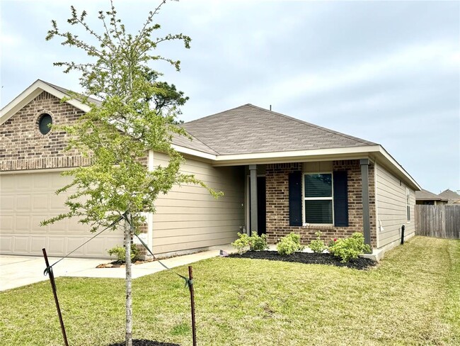 142 Bellewood Mnr Dr in Magnolia, TX - Building Photo - Building Photo