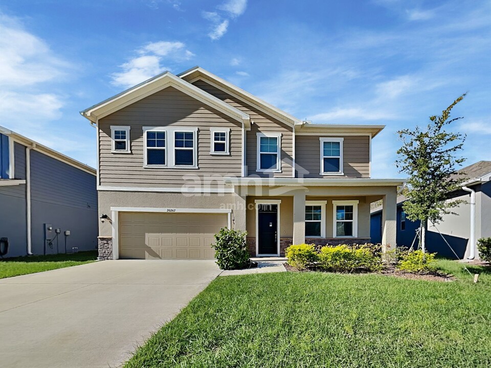 20267 Calla Lily Dr in Land O Lakes, FL - Foto de edificio