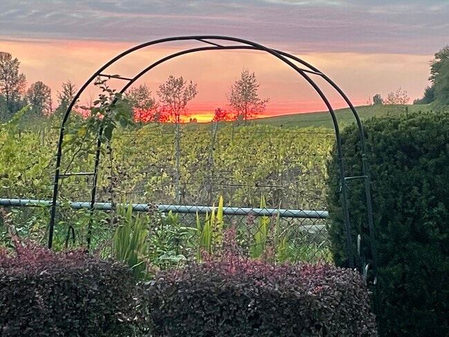 2163 Riesling Dr in Abbotsford, BC - Building Photo - Building Photo