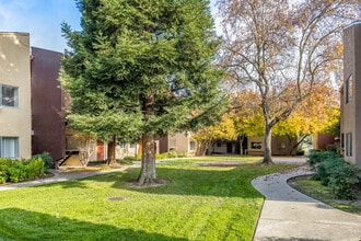 College Grove Apartments in Sacramento, CA - Building Photo - Building Photo