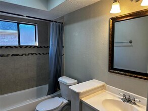 10719 Autumn Meadow Ln in Houston, TX - Building Photo - Building Photo