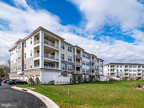 141 Switchgrass Wy in Chester, MD - Foto de edificio - Building Photo