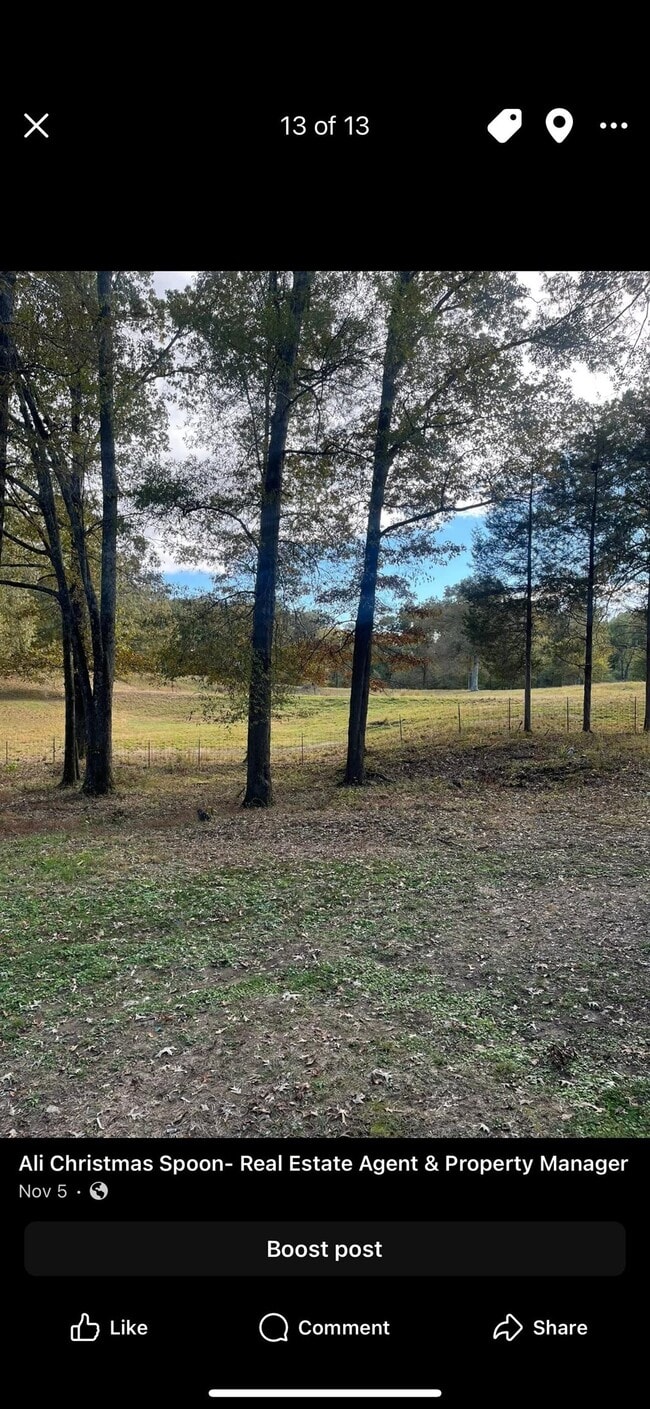 800 Helene Dr in Arlington, TN - Building Photo - Building Photo