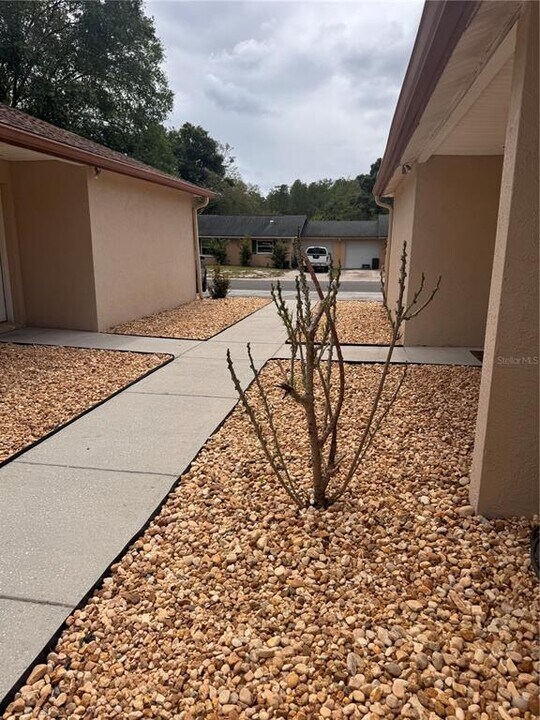 1125 E Rohe St in Tarpon Springs, FL - Building Photo