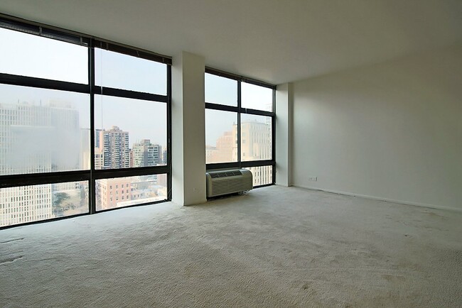 73 E Scott St in Chicago, IL - Building Photo - Building Photo