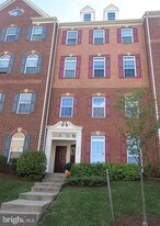 21564 Romans Dr in Ashburn, VA - Building Photo
