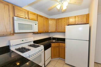 230 E Ontario St, Unit 2203 in Chicago, IL - Building Photo - Building Photo