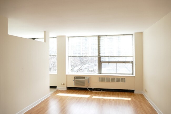 1460 N Sandburg Terrace in Chicago, IL - Building Photo - Building Photo