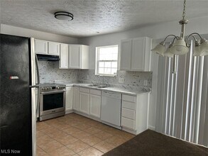 3164 E 130th St in Cleveland, OH - Building Photo - Building Photo