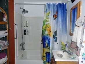 2854 Burningtown Rd in Franklin, NC - Building Photo - Building Photo