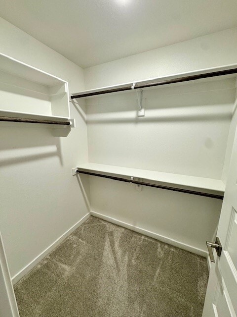 property at 3909 SW Pecan Cir