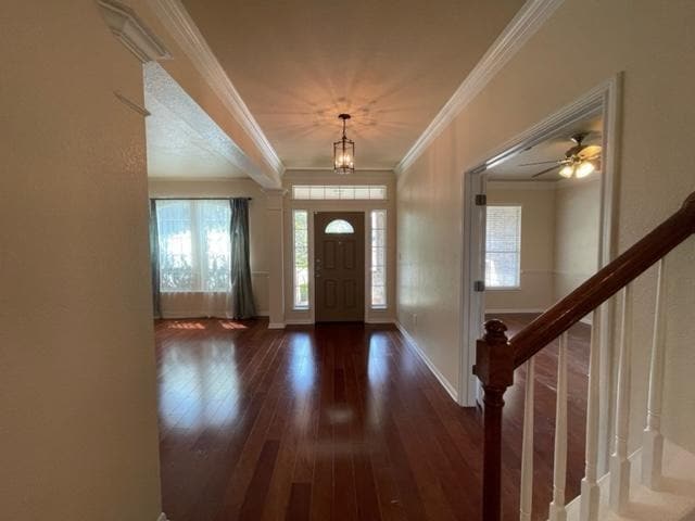 706 S Frontier Ln in Cedar Park, TX - Building Photo - Building Photo