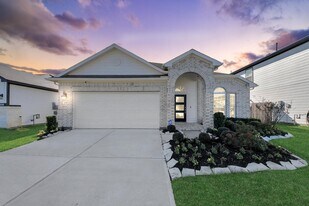 21507 Indigo Ruth Dr in Spring, TX - Building Photo