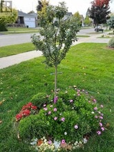 525 Cullen Ave in Mississauga, ON - Building Photo - Building Photo