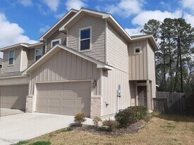 25160 Pacific Wren Dr in Magnolia, TX - Building Photo