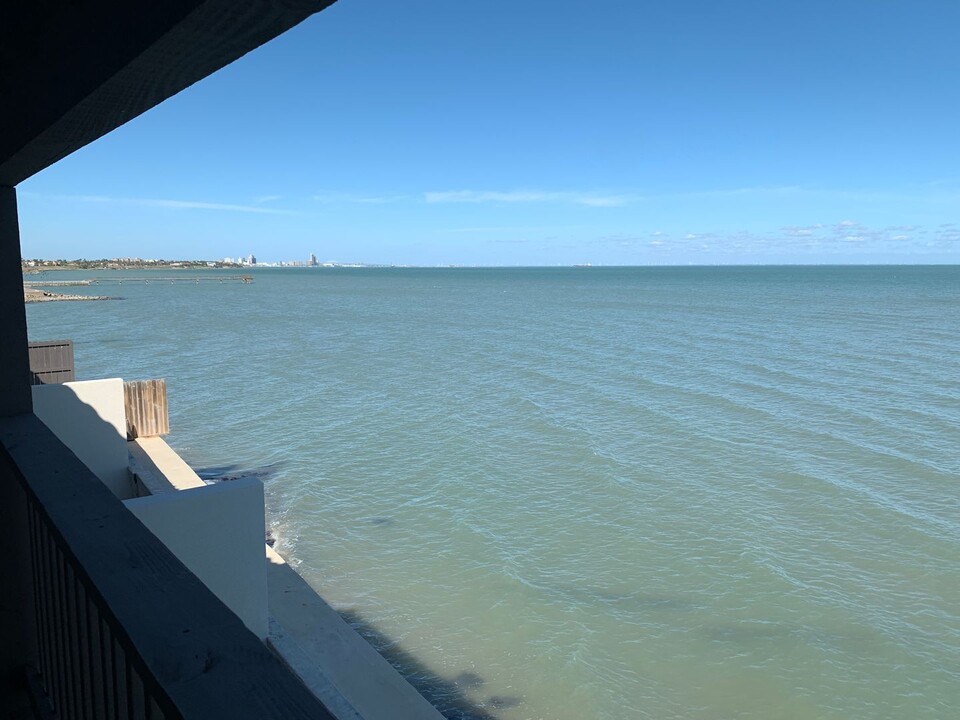 4270 Ocean Dr in Corpus Christi, TX - Building Photo